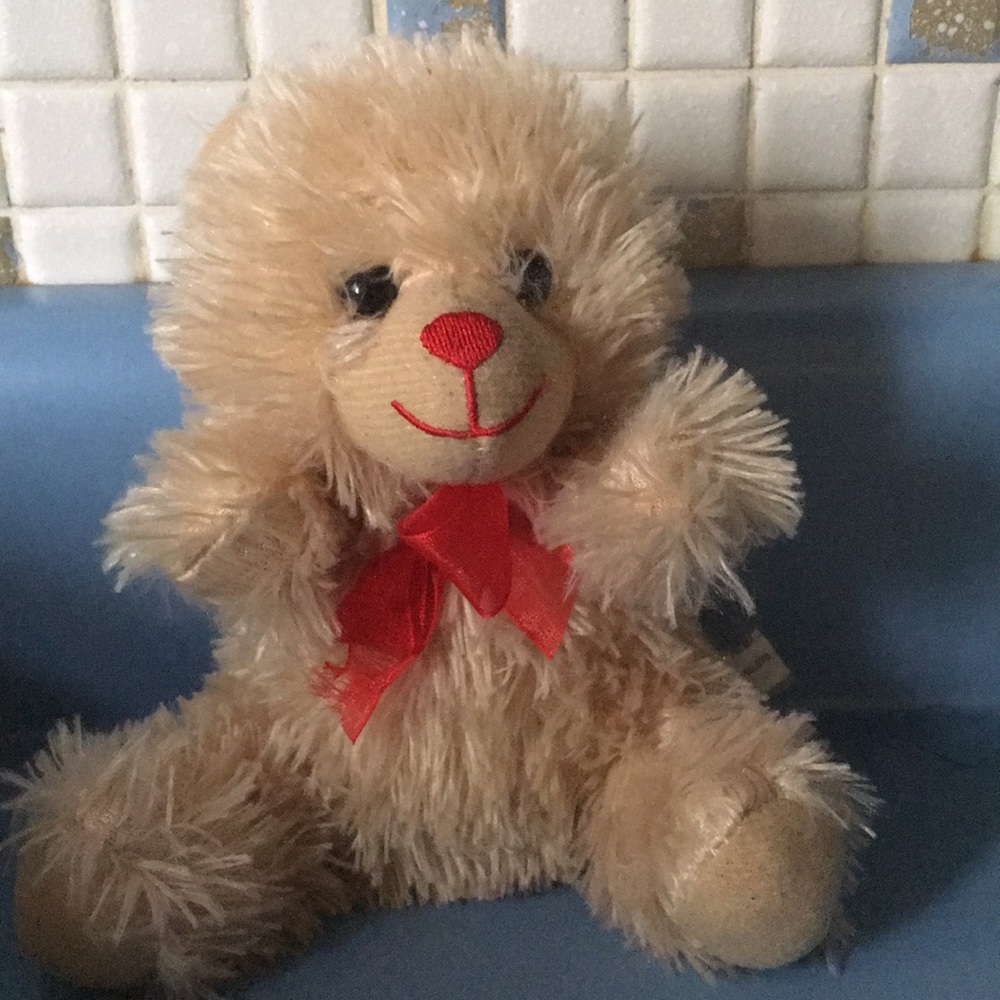 Teddy bear